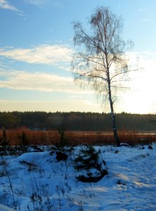 Svyatoshyn ponds10