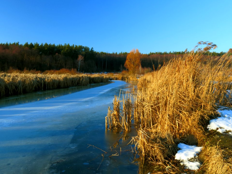 Svyatoshyn ponds17