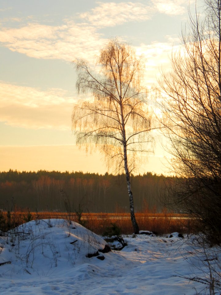 Svyatoshyn ponds9