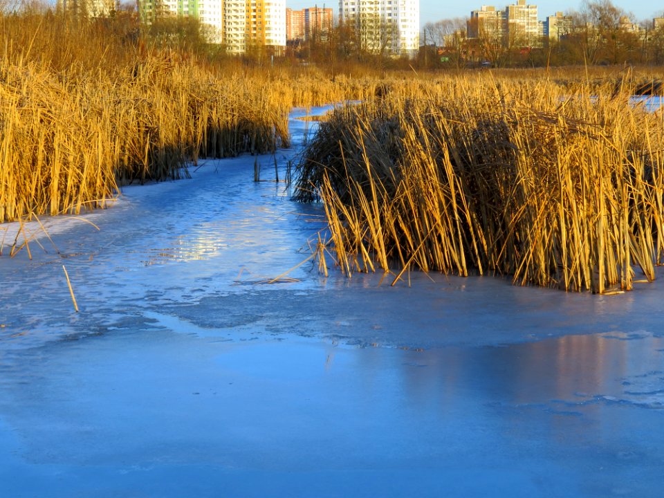 Svyatoshyn ponds18