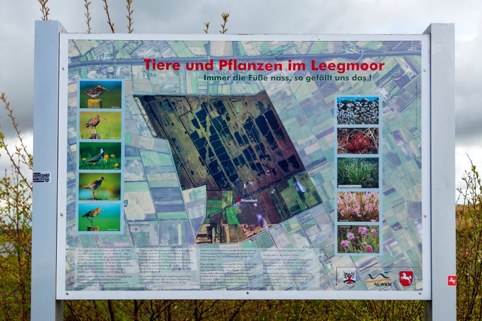 Surwold NSG Leegmoor 02
