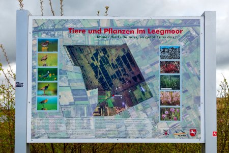 Surwold NSG Leegmoor 02