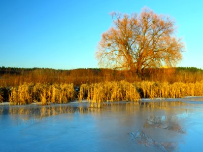 Svyatoshyn ponds15