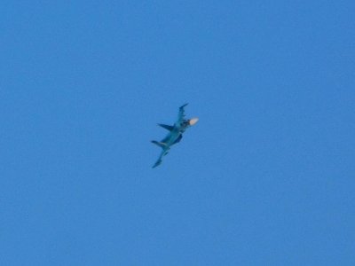 Su-34 in flight (08)