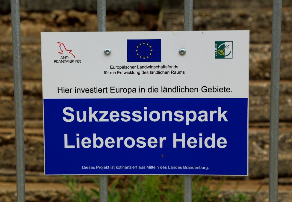 Sukzessionspark Lieberose 04