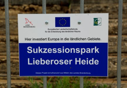 Sukzessionspark Lieberose 04