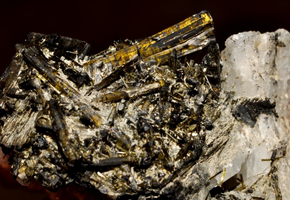 Tourmalines var. dravites et schorls (Brésil)
