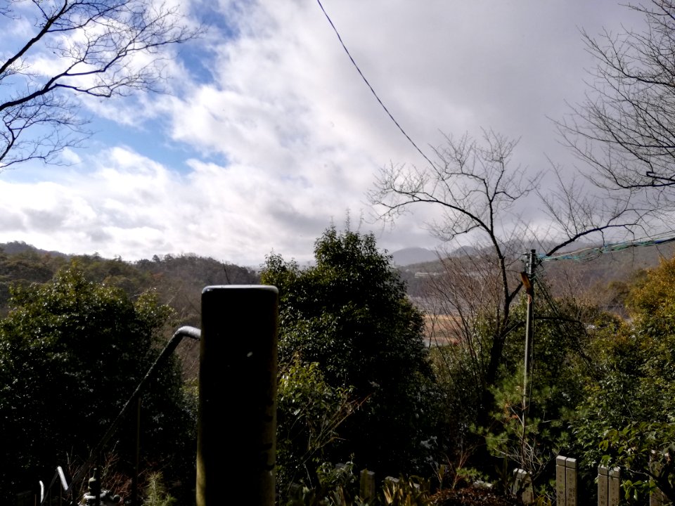 Tsugaosan Hachiyōrendai-ji Jakkō-in Temple 20210218 27