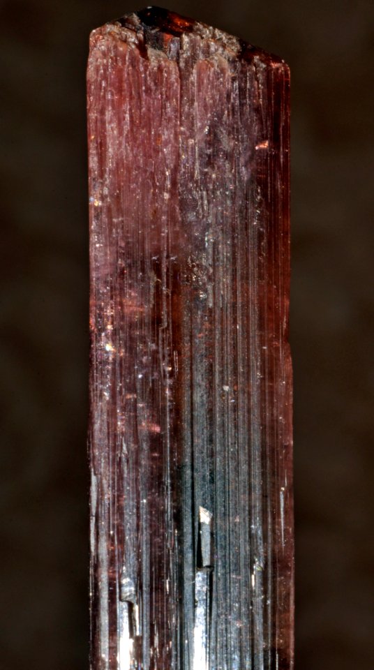 Tourmaline var. rubellite (Brésil)