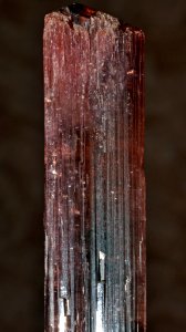 Tourmaline var. rubellite (Brésil)