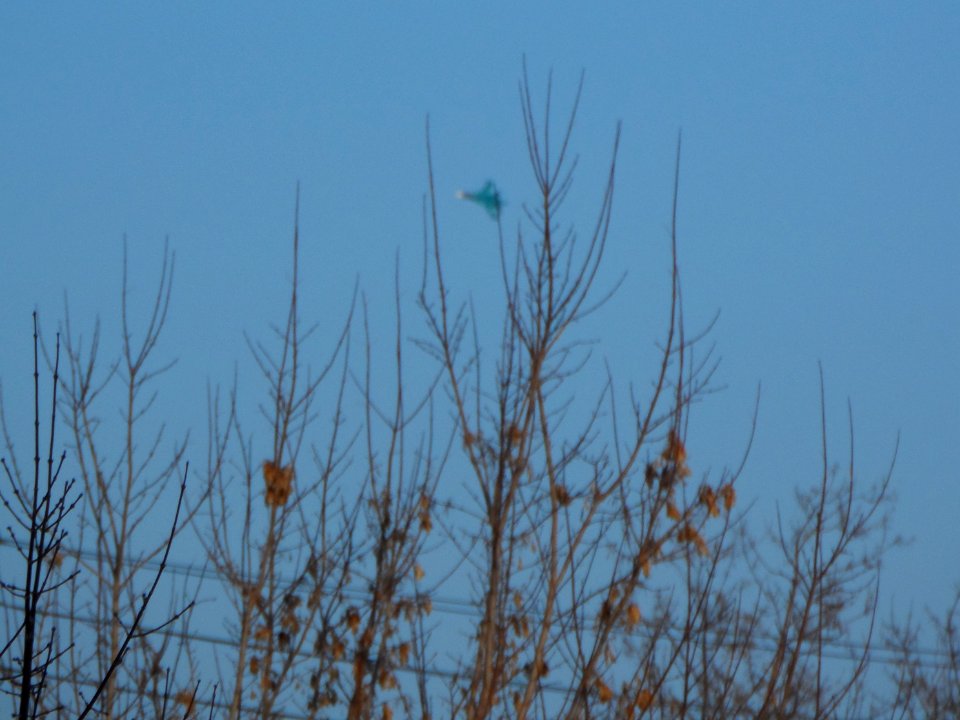 Trees and Su-34 (04)