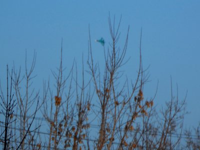 Trees and Su-34 (04)