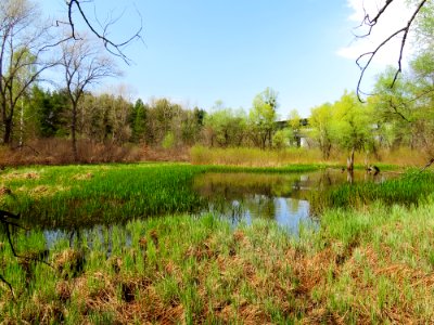 Trukhaniv lake4