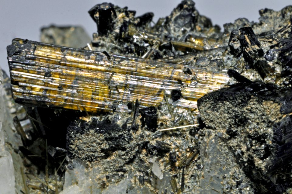 Tourmalines var. dravites (Brésil)