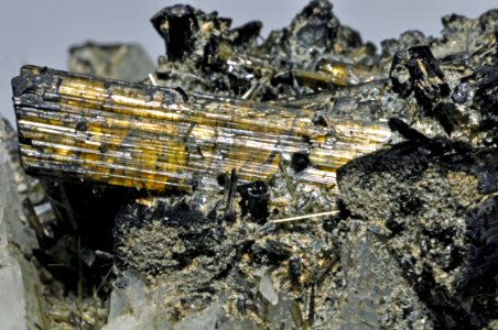 Tourmalines var. dravites (Brésil)