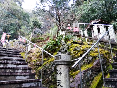 Tsugaosan Hachiyōrendai-ji Jakkō-in Temple 20210218 09