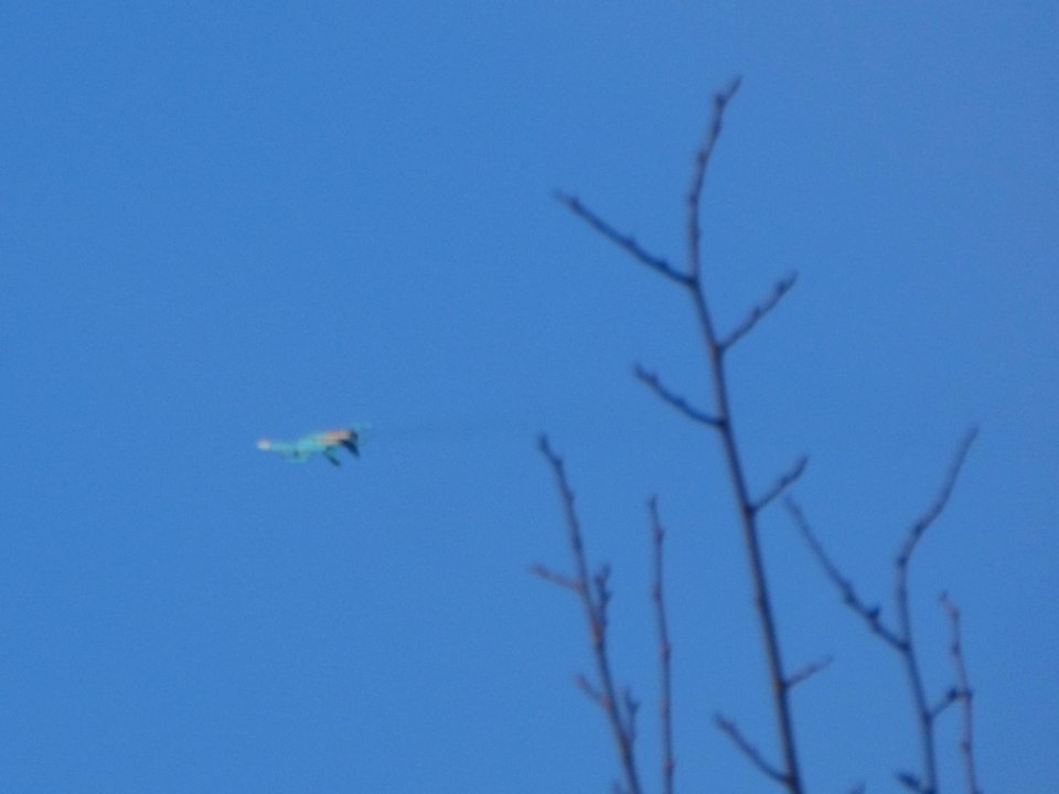 Trees and Su-34 (15)