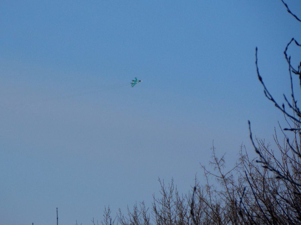 Trees and Su-34 (08)
