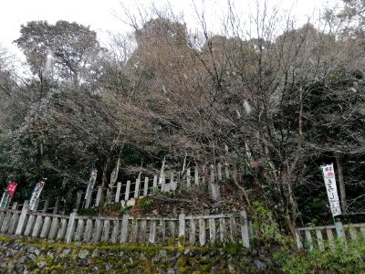 Tsugaosan Hachiyōrendai-ji Jakkō-in Temple 20210218 05