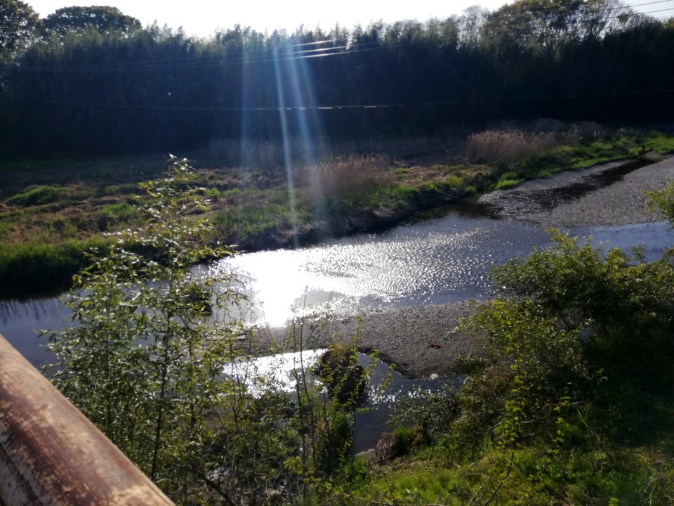 The ruins of old Minami-Aoyagi Bridge 20210412