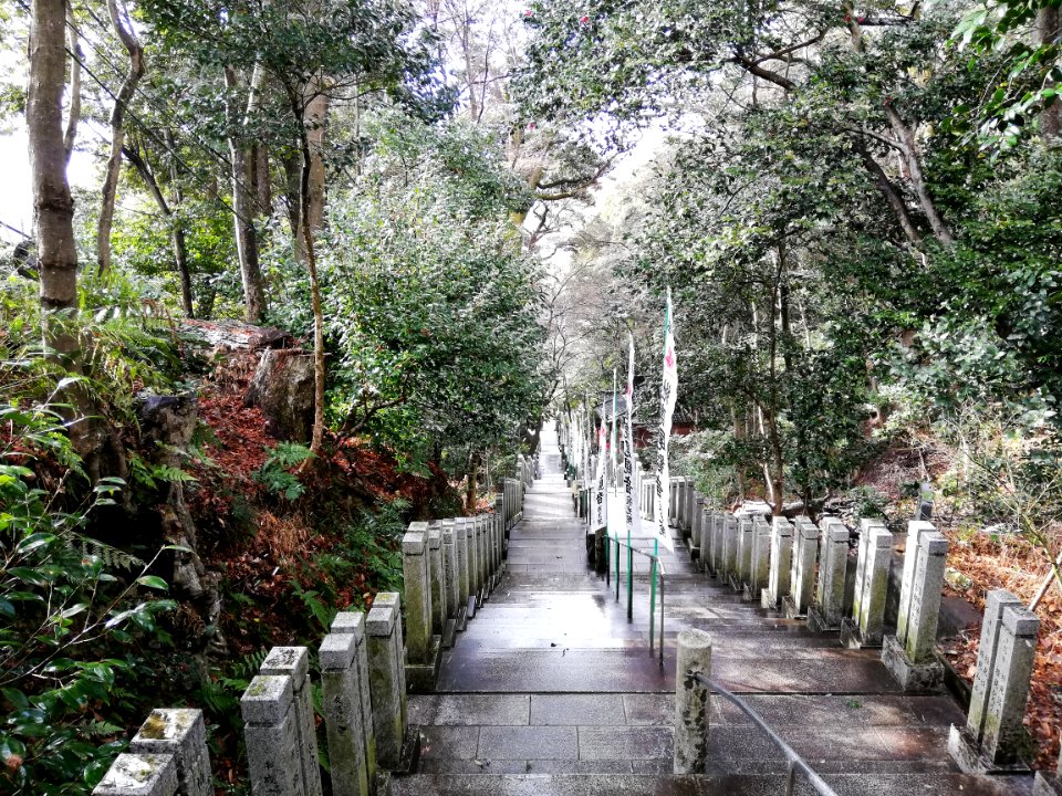 Tsugaosan Hachiyōrendai-ji Jakkō-in Temple 20210218 26