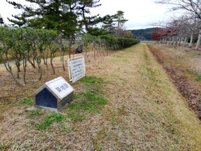 The ruins of Mino Kokubun-ji 20201122 03