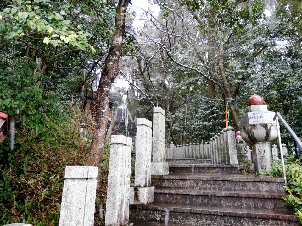 Tsugaosan Hachiyōrendai-ji Jakkō-in Temple 20210218 11