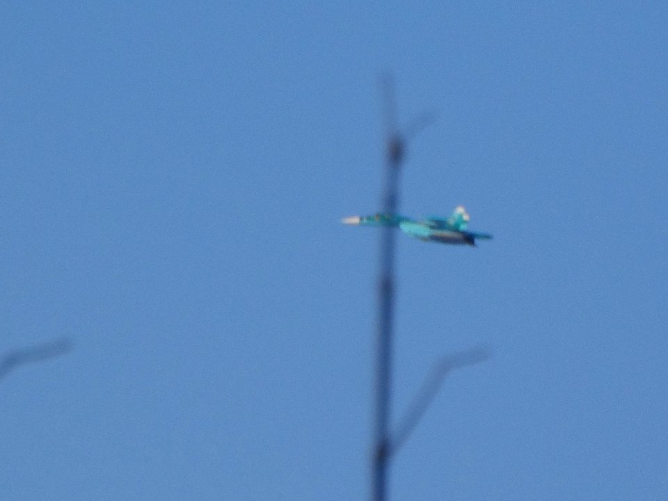 Trees and Su-34 (06)