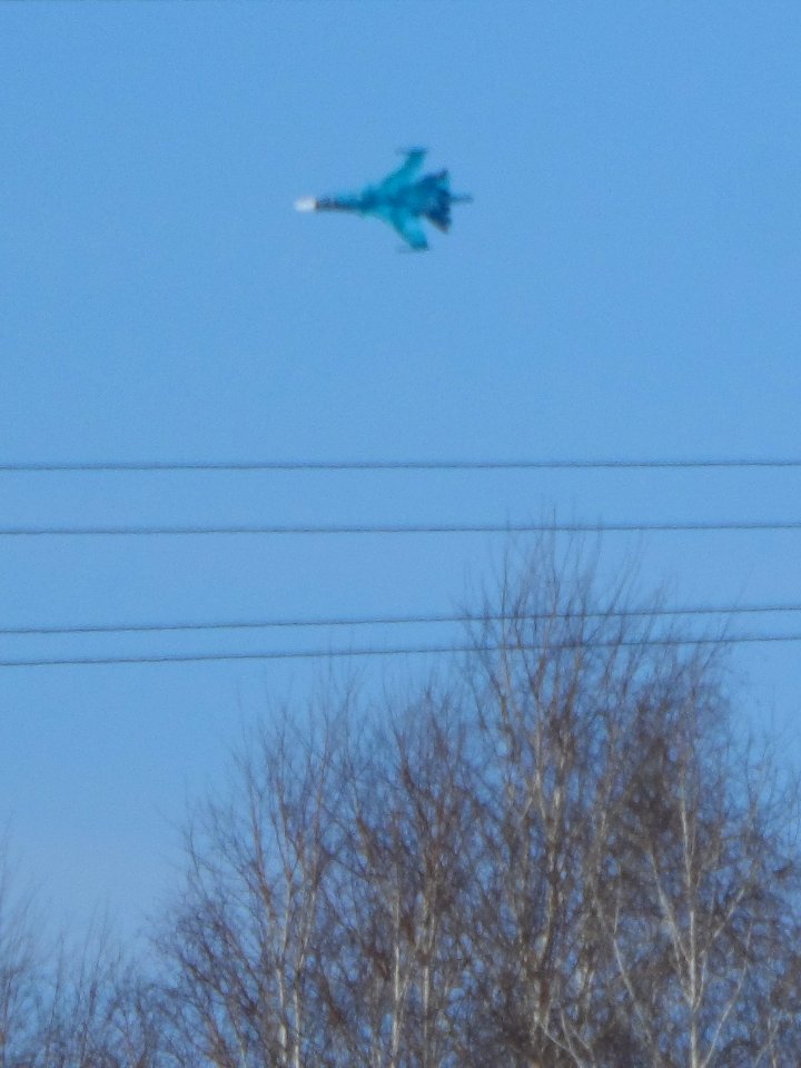 Trees and Su-34 (13)