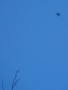 Trees and Su-34 (09)