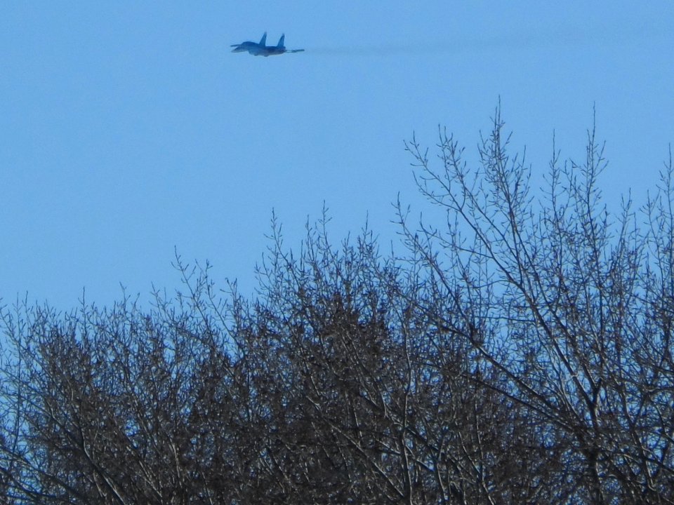 Trees and Su-34 (12)