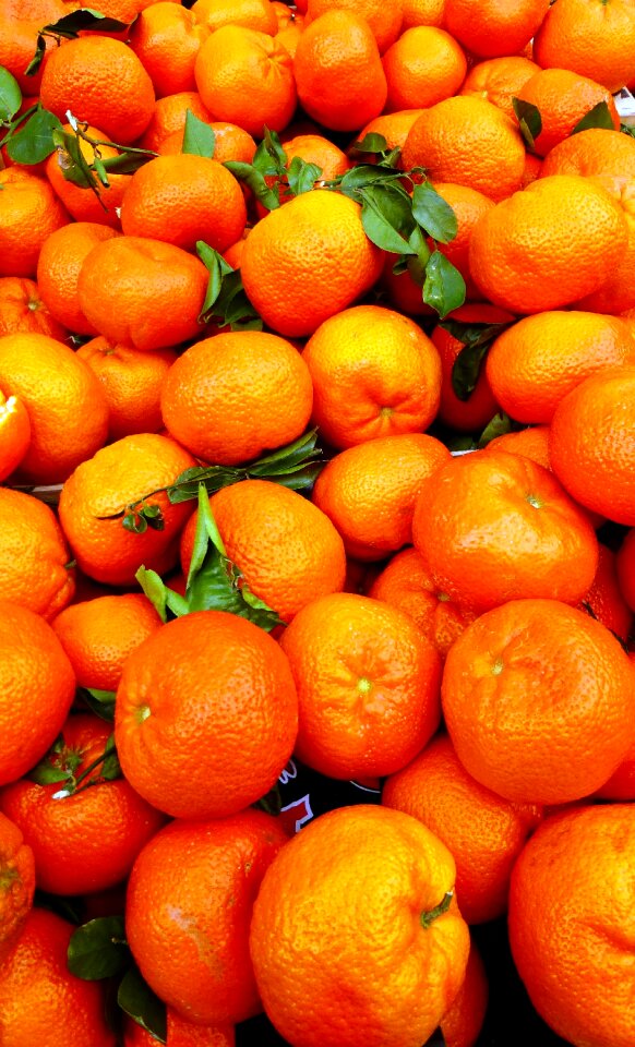 Juicy freshness citrus
