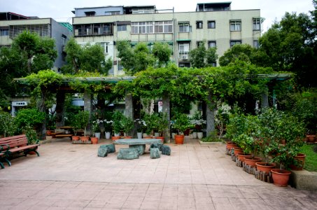 Trellis in West Section of Xinzhong Park 20141009