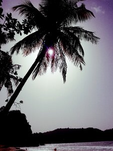 Sun idyllic caribbean