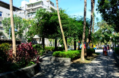 Trellis in Minsheng Park South Exit Rear View 20151105