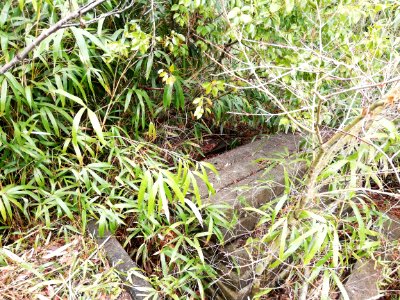 The ruins of Taga Highway Park Restaurant - Taga SL Park 20210306 17