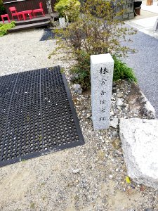 The ruin of the house of Tunekichi Hayashi 20210412