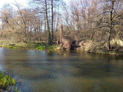 Tomaszów Mazowiecki w województwie łódzkim, PL, EU. Rzeka Wolbórka, widok z kładki na terenie fabryki dywanów Weltom. CC0