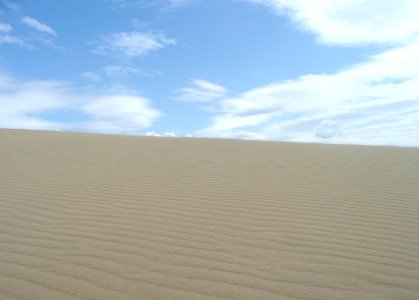 Tottori sakyuu samon