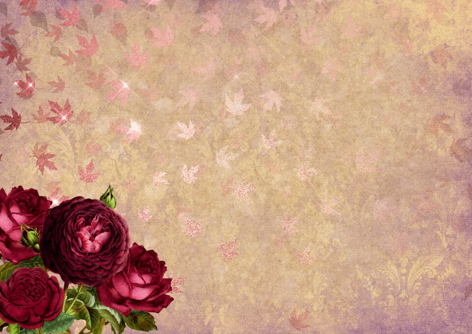 Background image flowers bud