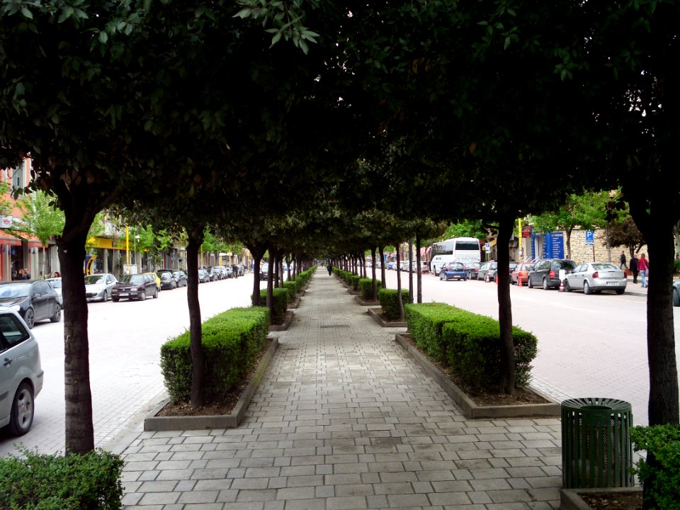 Tirana Bulevardi Zogu central walkway photo
