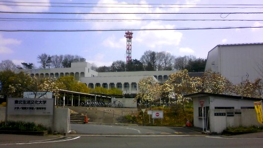 Tohoku Seikatsu Bunka University