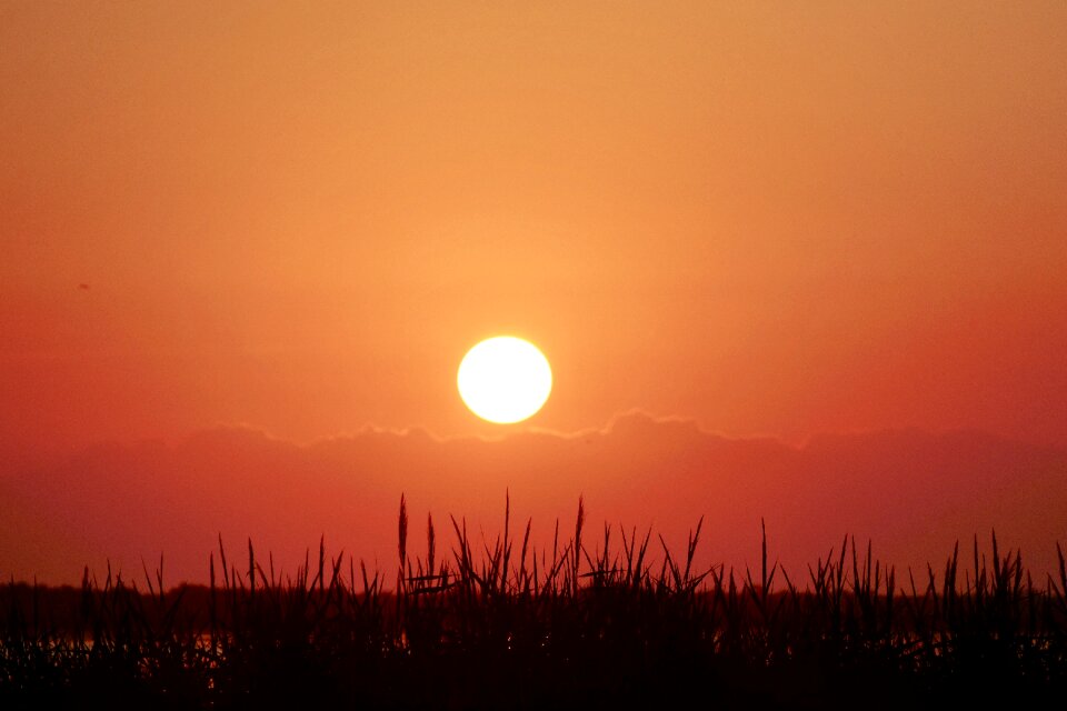 Dusk nature evening photo