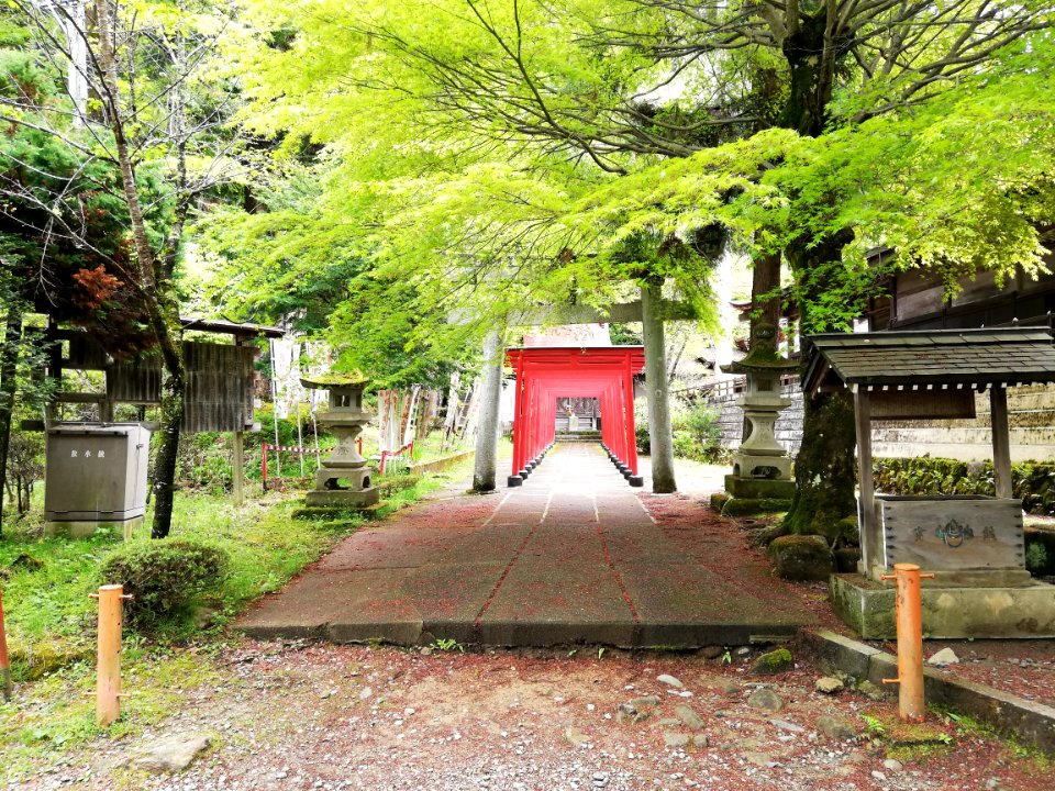 Toyokawa Shiroyama Inari Shrine 20210502