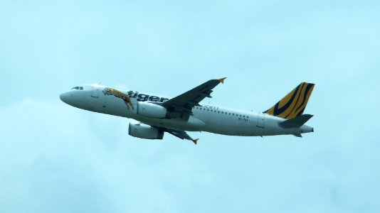 Tiger Airways Airbus A320-232 9V-TAY Taking off from Singapore Changi Airport 20130211a