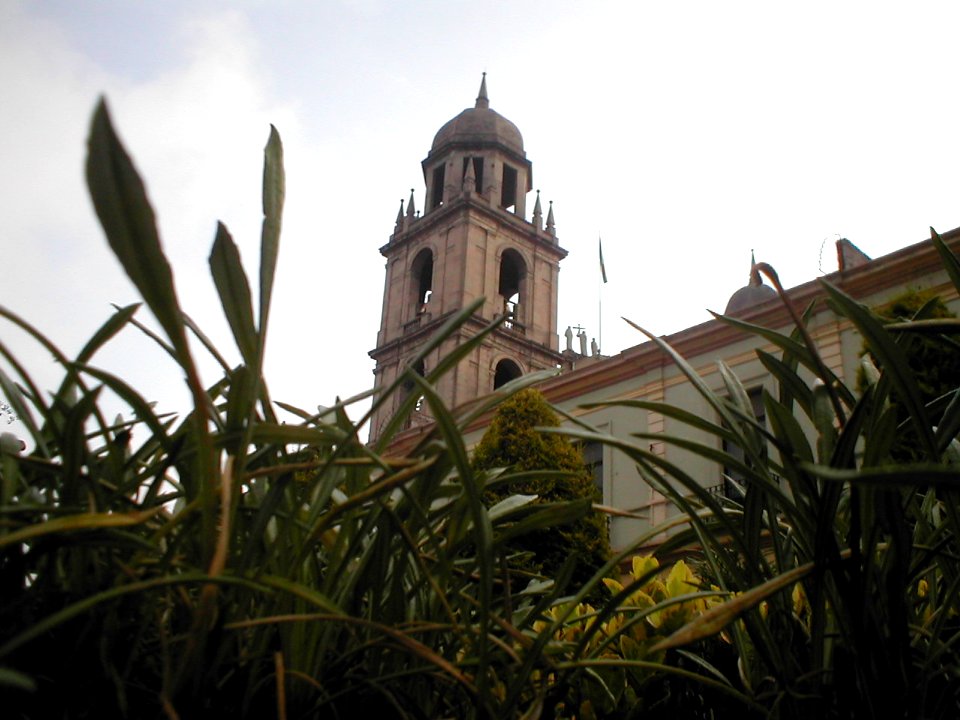 Torre campanario entre la hierba