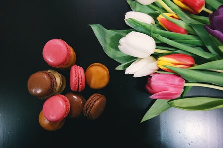 Dessert food tulips