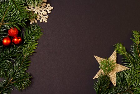 Christmas decorations twigs happy holidays