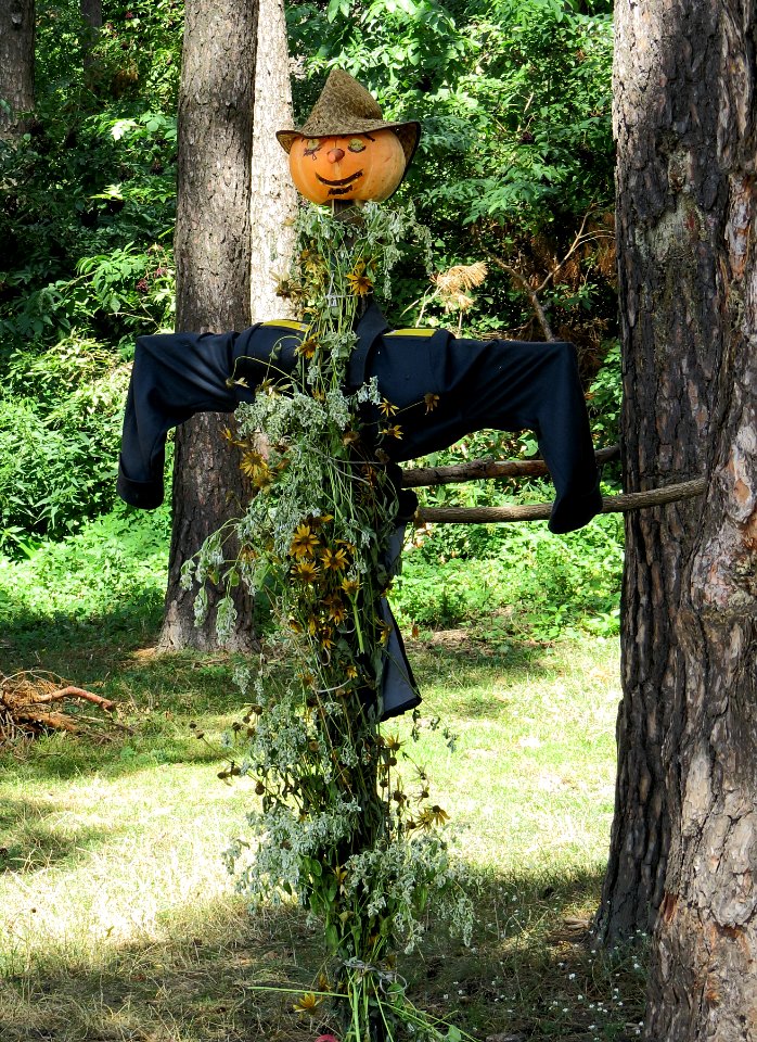 Scarecrow in Dmytrivka