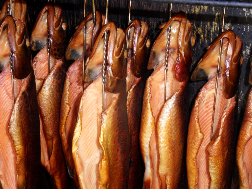 Gourmet seafood trout smoked